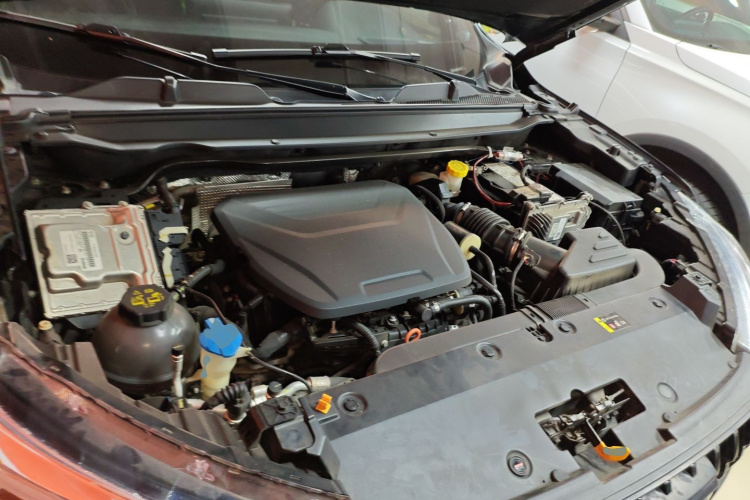 Haval Rabbit 2021 car image #20