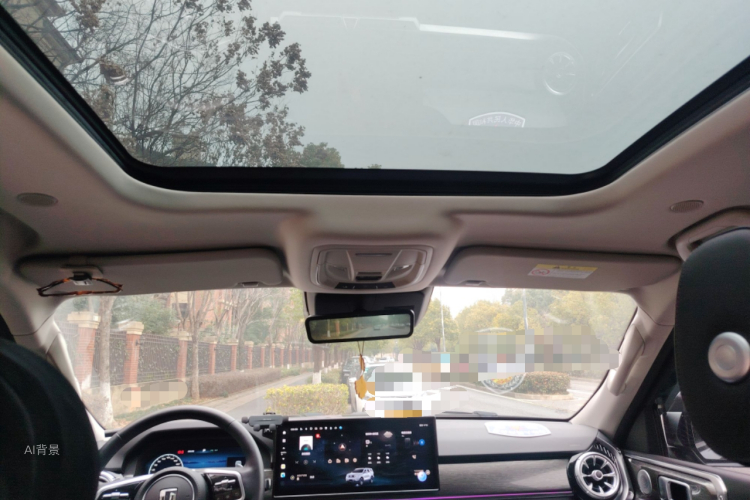 Tank 400 New Energy 2024 car image #20