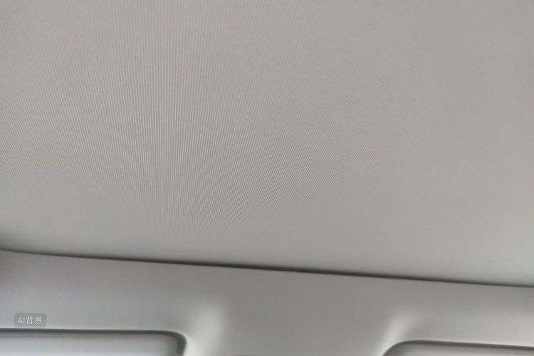 BYD Sea Lion 05 EV 2025 car image #20