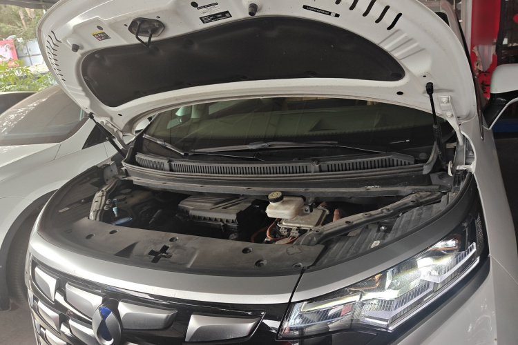 Denza D9 2023 immagine di auto #20