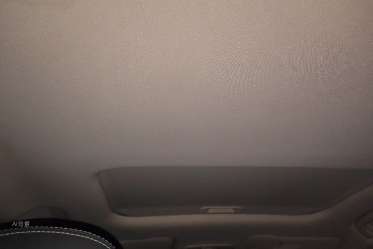 Vision X3 2019 car image #20
