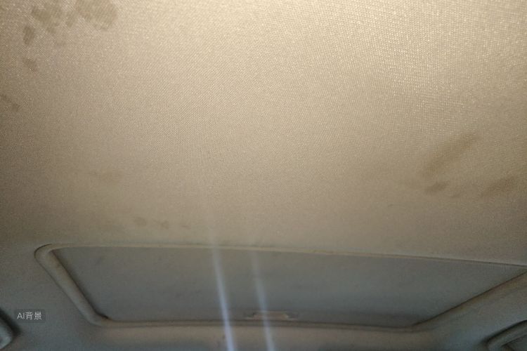 劳斯莱斯 欧蓝德 2017 汽车图片 #20