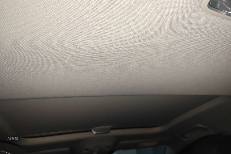 奥迪Q2L e-tron 2020 汽车图片 #20