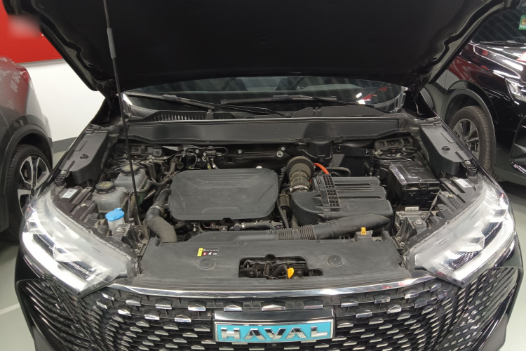 Haval H6 2022 car image #20
