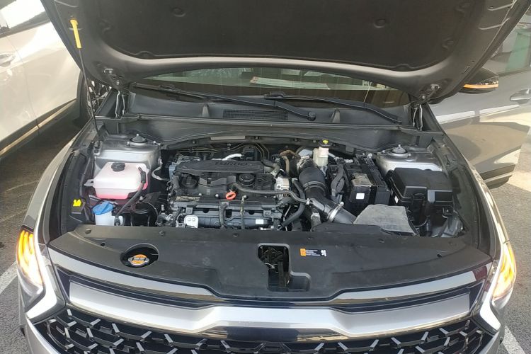 Kia Sportage 2023 car image #20