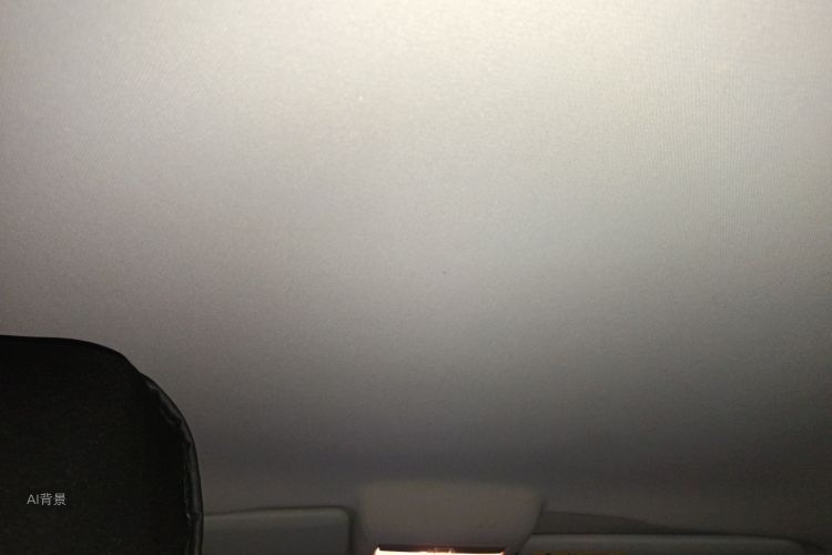 大众 Polo 2015 汽车图片 #20