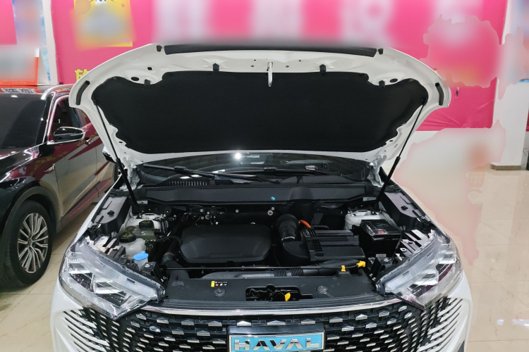 Haval H6 2022 car image #20