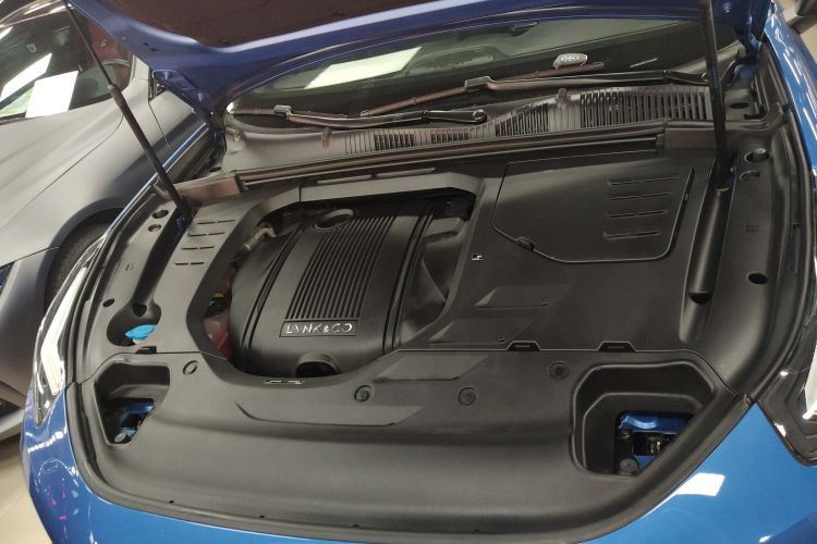 Lynk & Co 03 New Energy 2020 car image #20