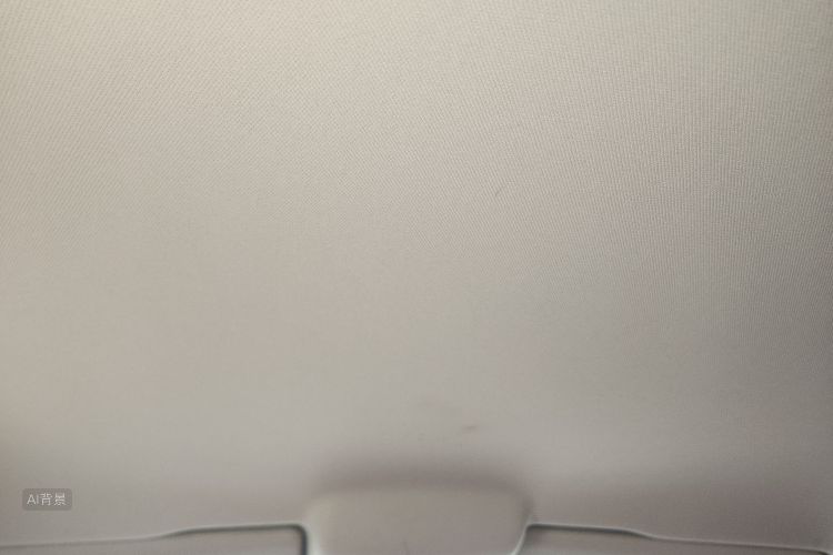 Polo 2019 car image #20