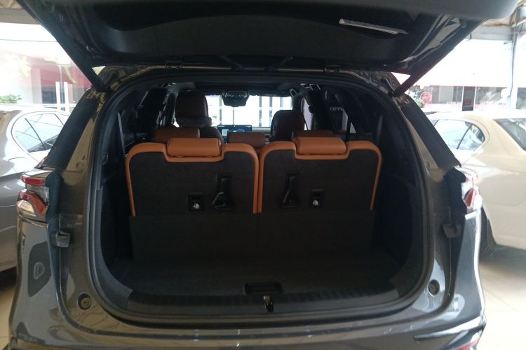 BYD Tang New Energy 2023 car image #20