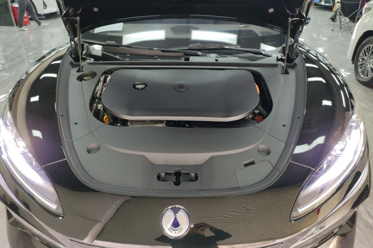 Denza Z9 2024 car image #20