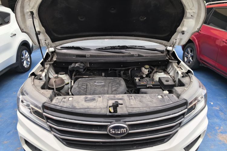 SWM X3 2021 صورة سيارة #20