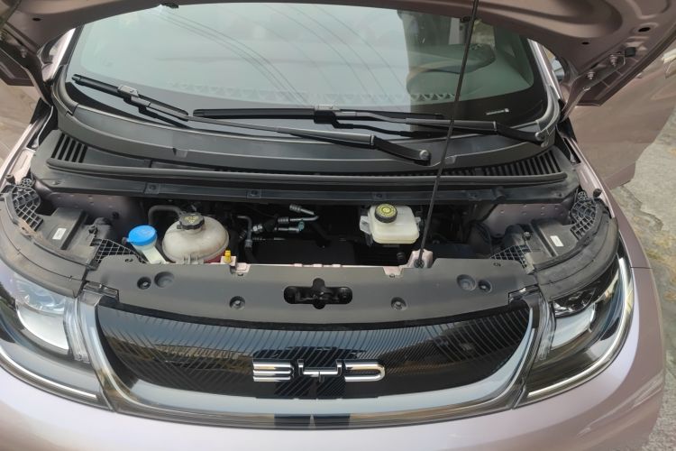 BYD Dolphin 2023 car image #20