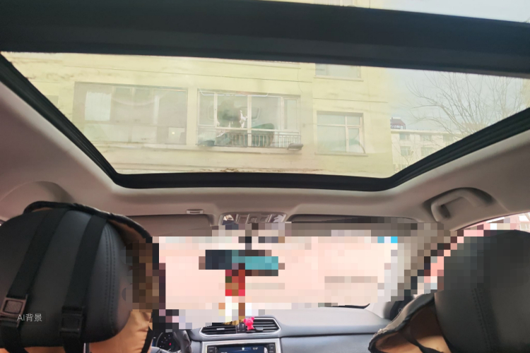 Haval H6 Coupe 2016 car image #20