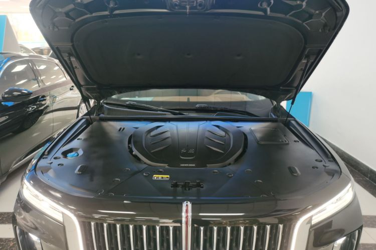 HongQi H9 2020 car image #20