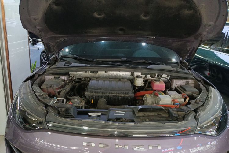 Denza X 2021 изображение автомобиля #20