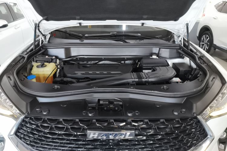 Haval F7x 2020 car image #20