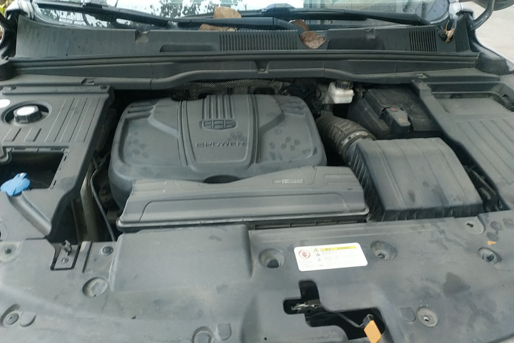 GEELY Coolray 2019 car image #20