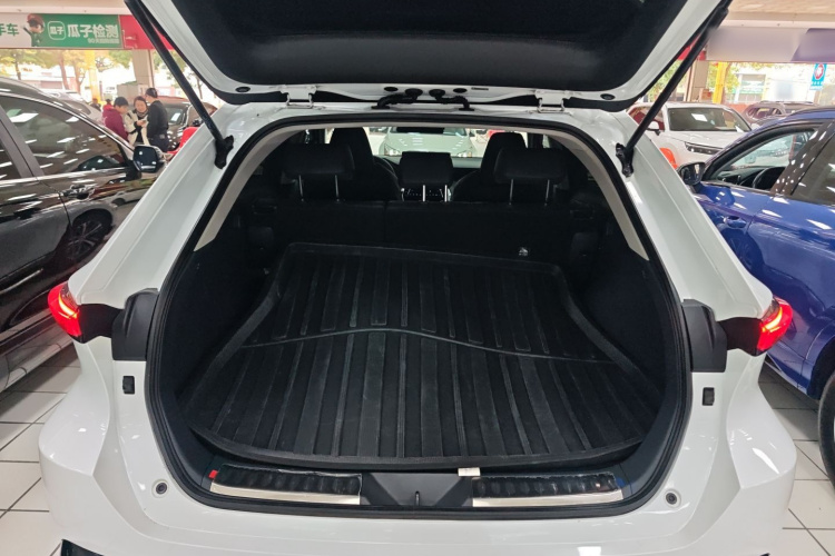 Toyota Venza 2022 car image #20