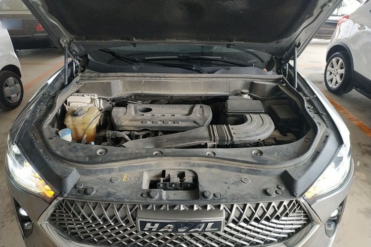 Haval F7x 2021 #20 Haval F7x 2021 car image #20