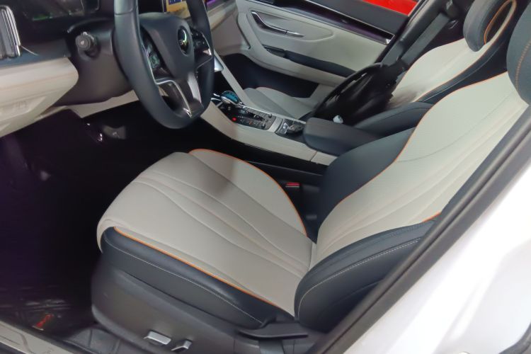 BYD Song Plus New Energy 2022 #20 BYD Song Plus New Energy 2022 car image #20