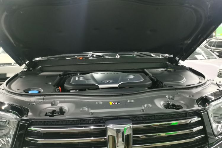 Tank 700 New Energy 2024 car image #20