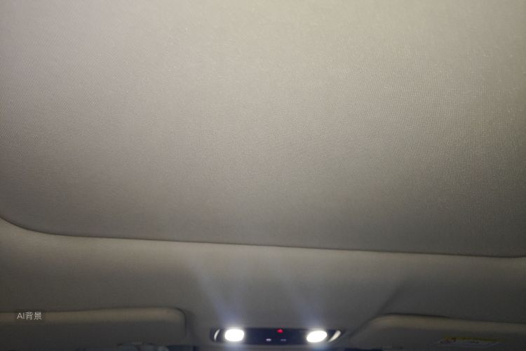 零跑汽车 零跑C11 2023 汽车图片 #20