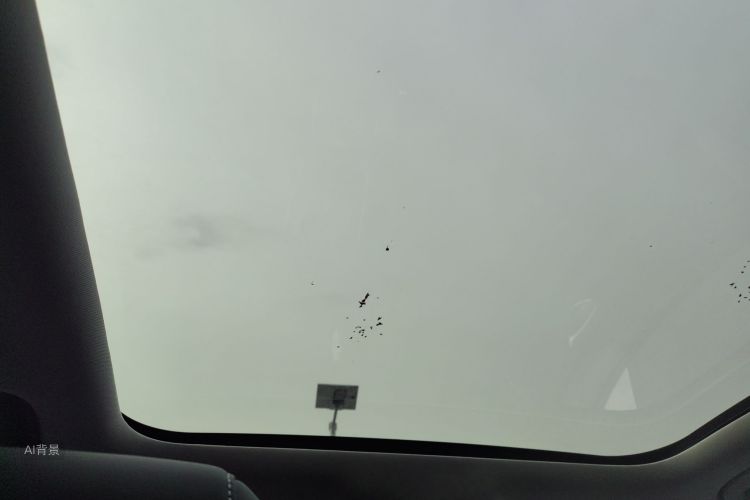 BYD Sea Lion 05 EV 2025 car image #20