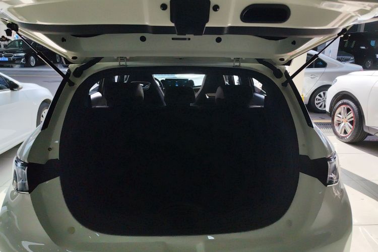 BYD Dolphin 2023 car image #20