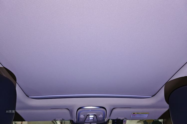 BYD Tang New Energy 2018 car image #20