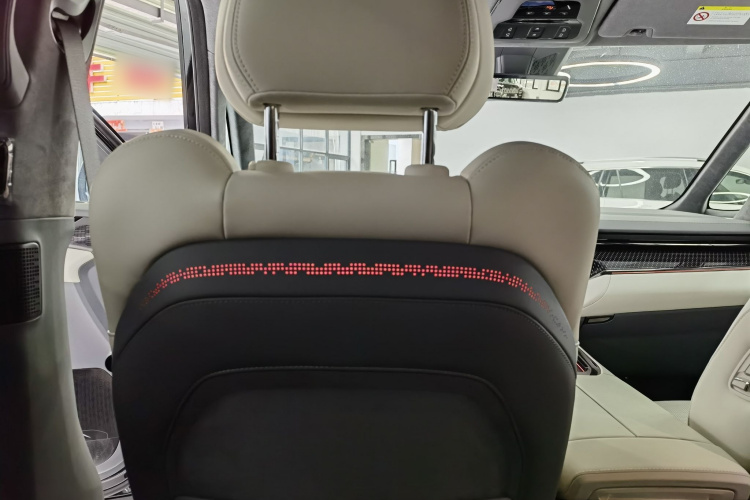 极氪 极氪009 汽车图片 #20