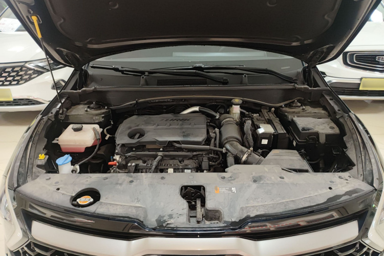 起亚 狮铂拓界 2025 汽车图片 #20