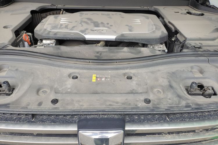 Tank 700 New Energy 2024 immagine di auto #20