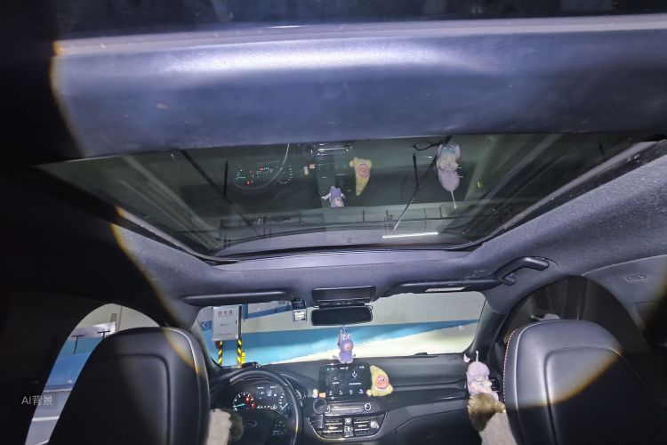 Ford Focus 2019 car image #20