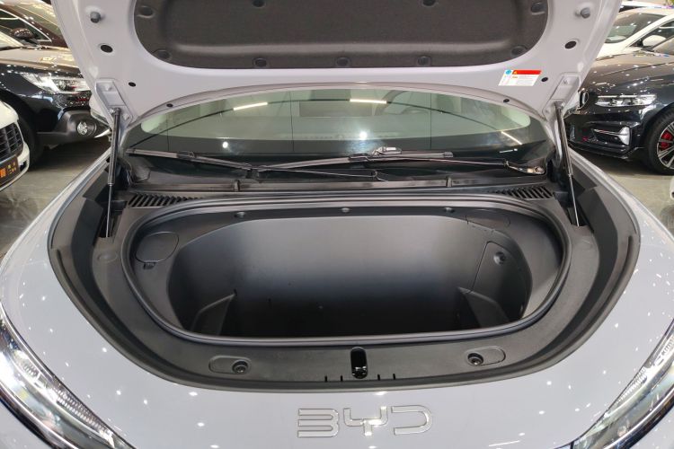 BYD Sea Lion 05 EV 2025 car image #20