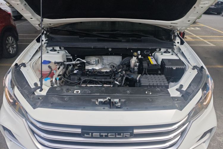 X70M 2020 car image #20