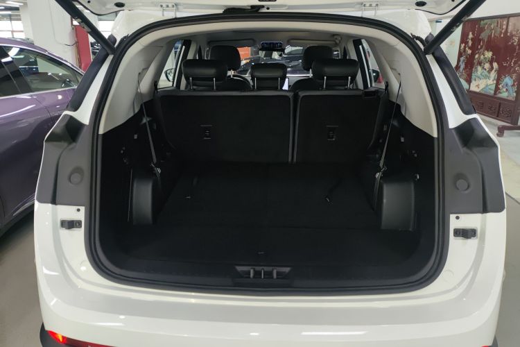 Jetour Shanhai L9 2025 image de voiture #20