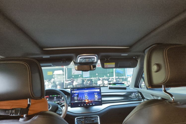 BYD Tang New Energy 2021 car image #20