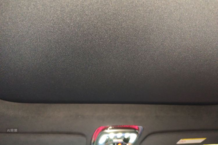 极氪 极氪9X 2025 汽车图片 #20