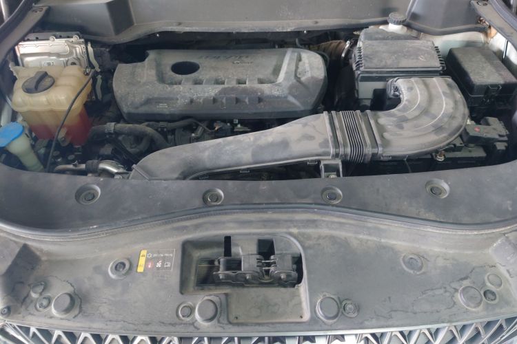 Haval F7x 2021 #20 Haval F7x 2021 car image #20