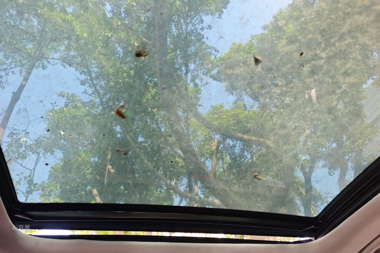 Hyundai Santa Fe 2014 #20 Hyundai Santa Fe 2014 immagine di auto #20