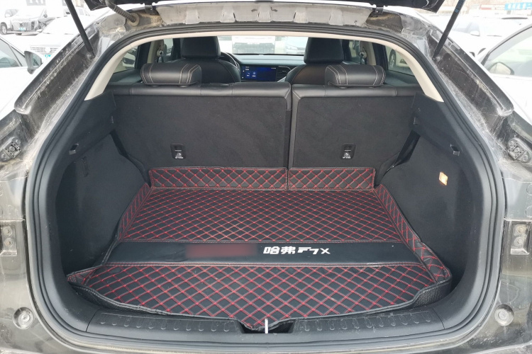 Haval F7x 2020 car image #20