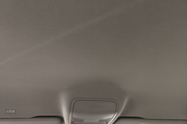 Skoda Octavia 2020 car image #20