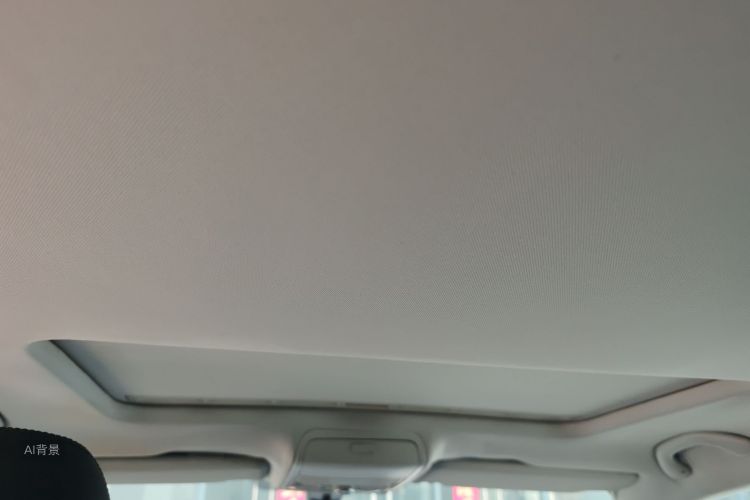 Volkswagen Passat 2014 car image #20