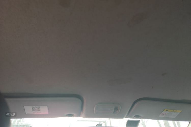 Forthing SX6 2019 car image #20