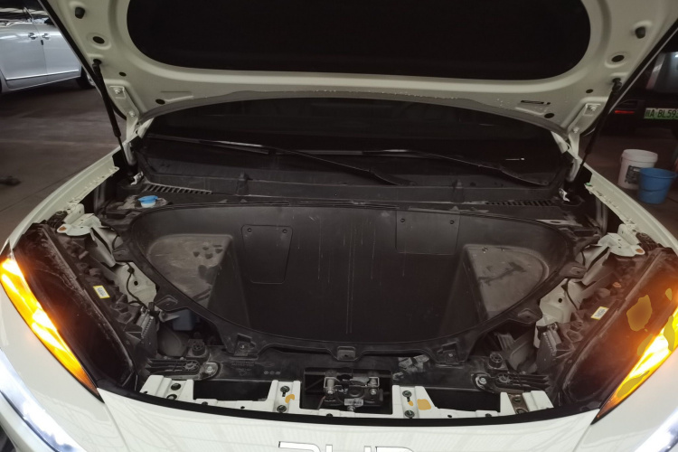 BYD Sea Lion 06 New Energy 2025 car image #20