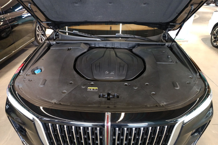 HongQi H9 2021 #20 HongQi H9 2021 car image #20