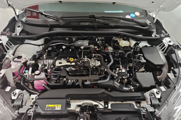 Toyota Frontlander 2025 #20 Toyota Frontlander 2025 immagine di auto #20