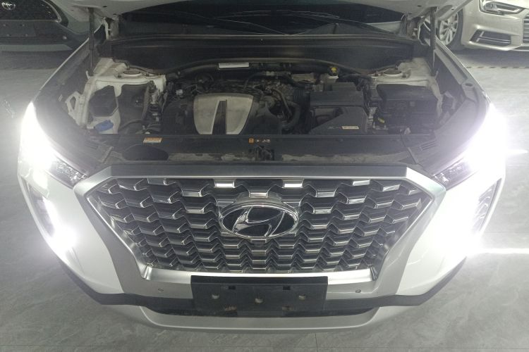 Hyundai Palisade 2020 #20 Hyundai Palisade 2020 car image #20