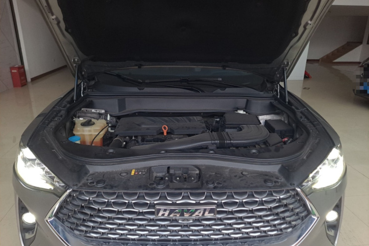 Haval F7 2020 car image #20